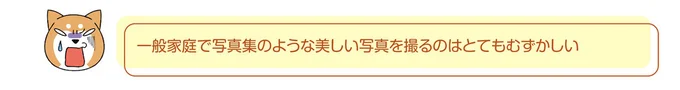 『ドヤ顔柴犬どんぐり2』より