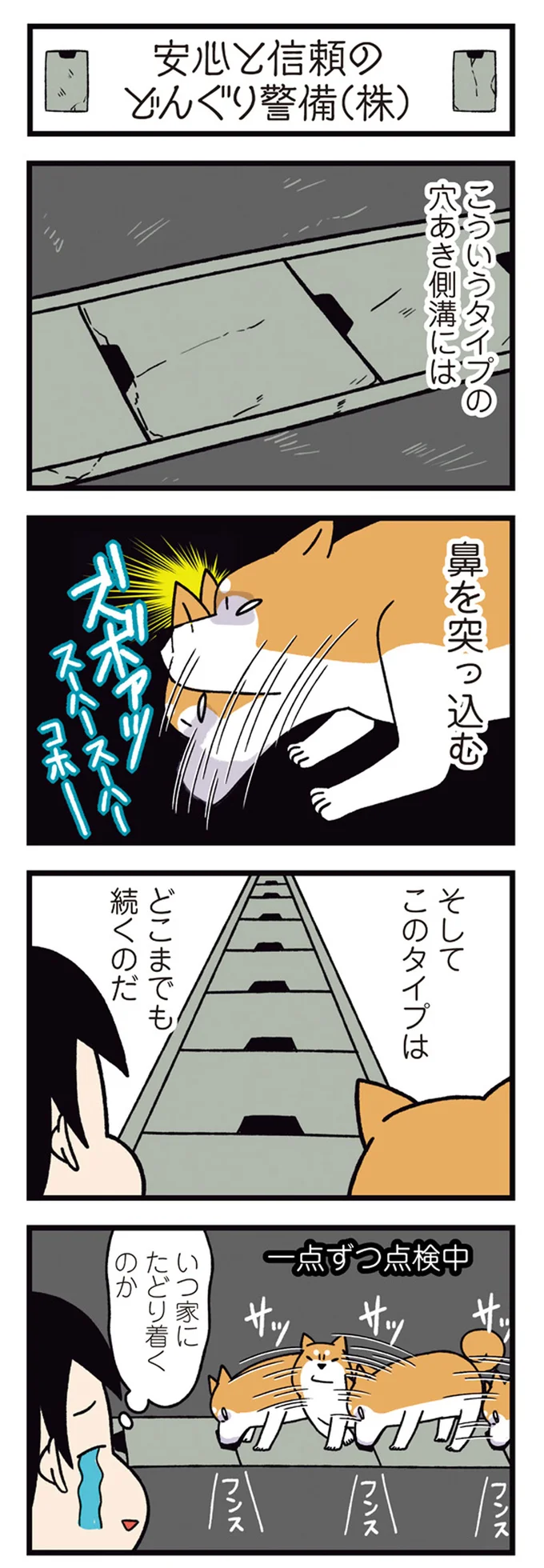 『ドヤ顔柴犬どんぐり2』より
