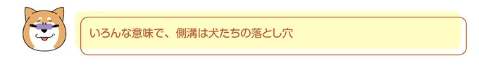 『ドヤ顔柴犬どんぐり2』より