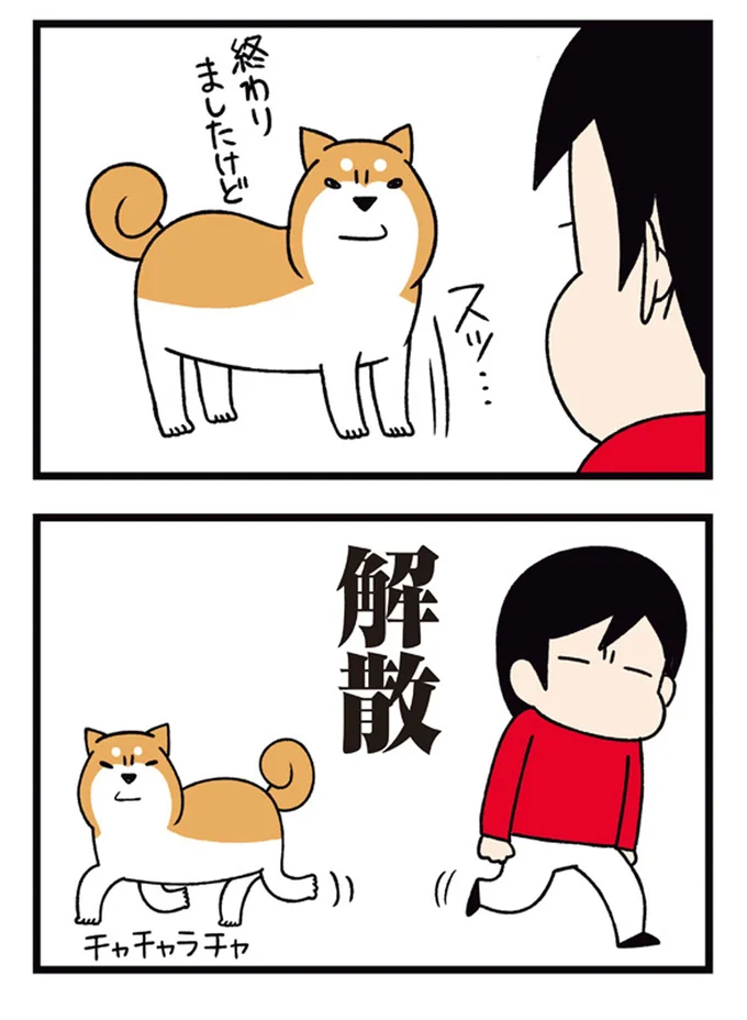 『ドヤ顔柴犬どんぐり2』より