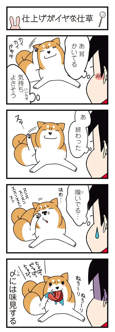 『ドヤ顔柴犬どんぐり2』より