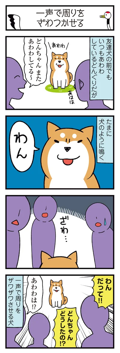 『ドヤ顔柴犬どんぐり2』より