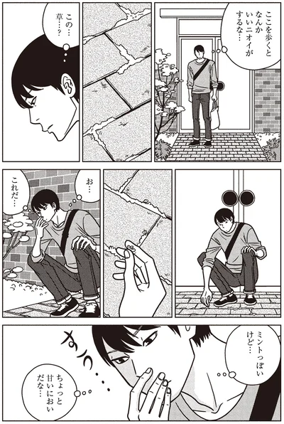 ミントっぽいけど…