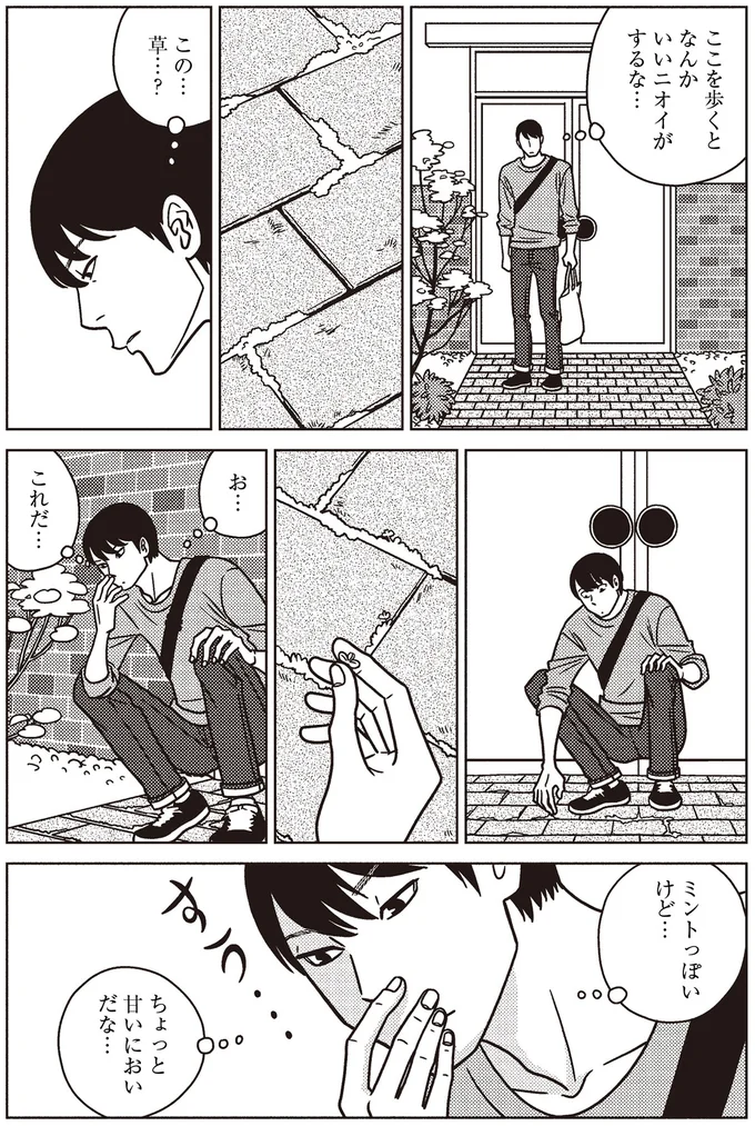 ミントっぽいけど…