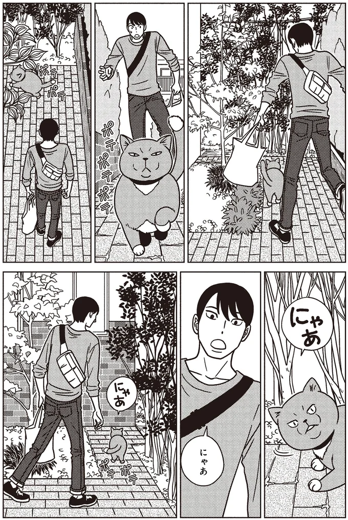 にゃあ　にゃあ