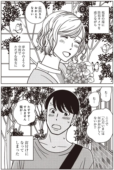 すみません猫が…