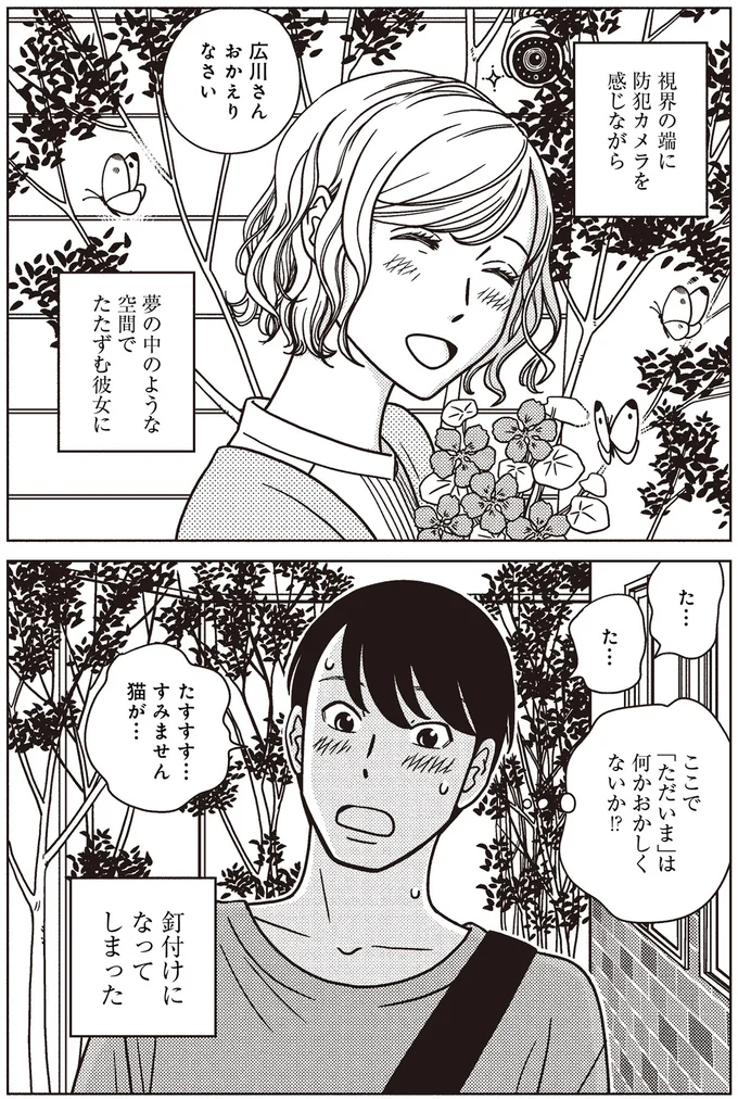 すみません猫が…