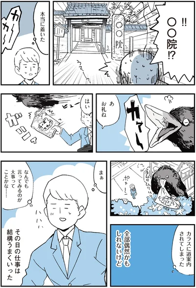 カラスに道案内されてしまった
