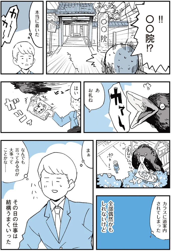 カラスに道案内されてしまった