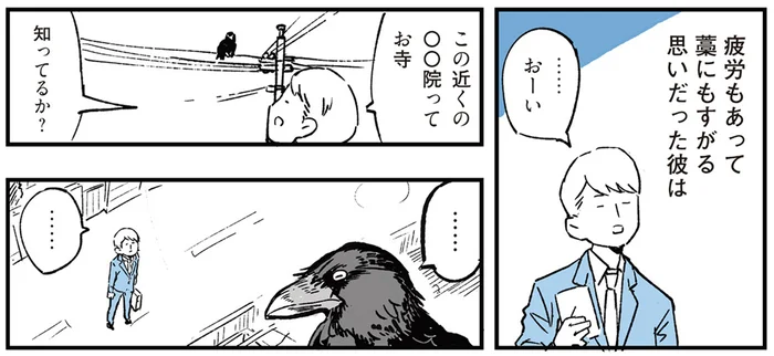 なんでも言ってみることが大事？ 藁にもすがる思いでカラスに道を聞いてみた／動物たちが残した不思議なメッセージ（2）
