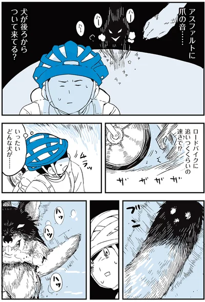 いったいどんな犬が…