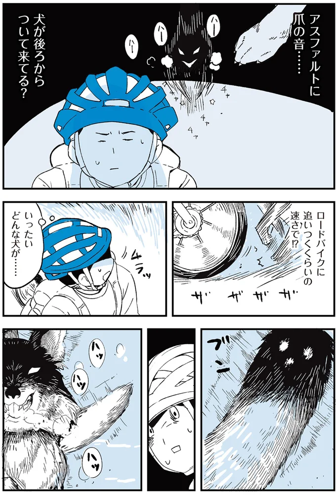 いったいどんな犬が…