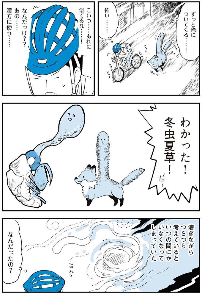 わかった！冬虫夏草！