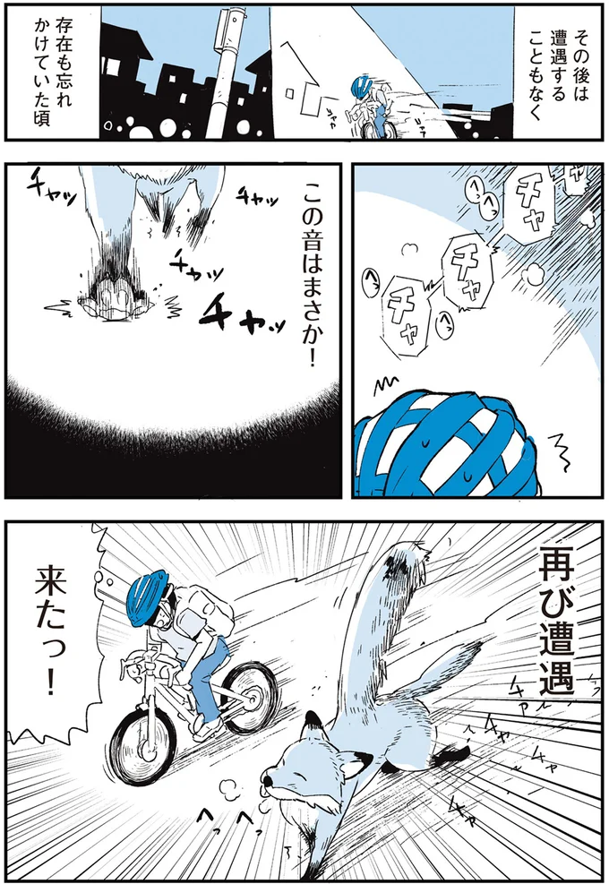再び遭遇