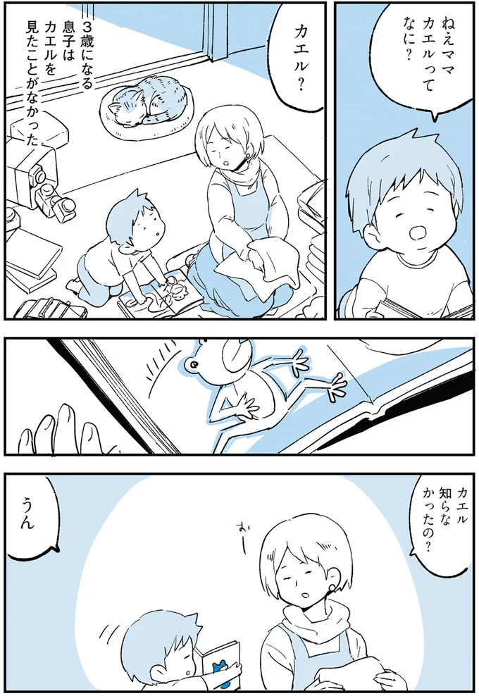 カエル？