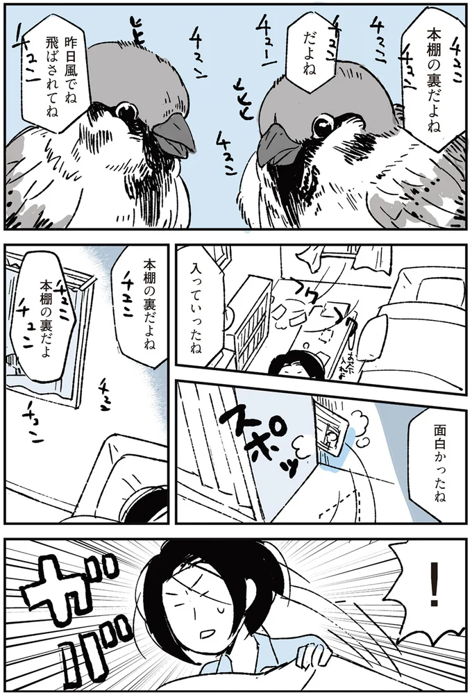 面白かったね