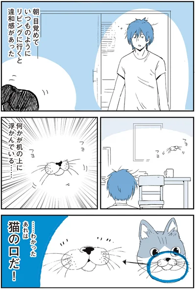…わかったあれは猫の口だ！
