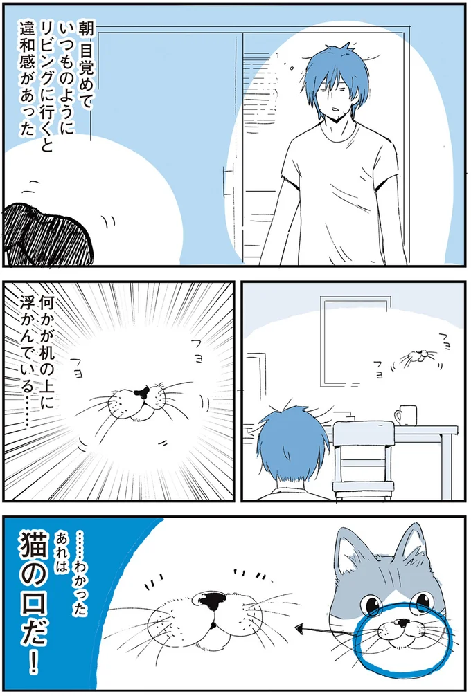 …わかったあれは猫の口だ！