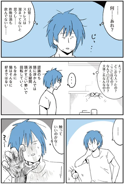 触っていいのかな…