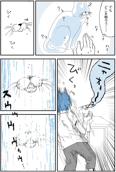 でもどこを触ろう…