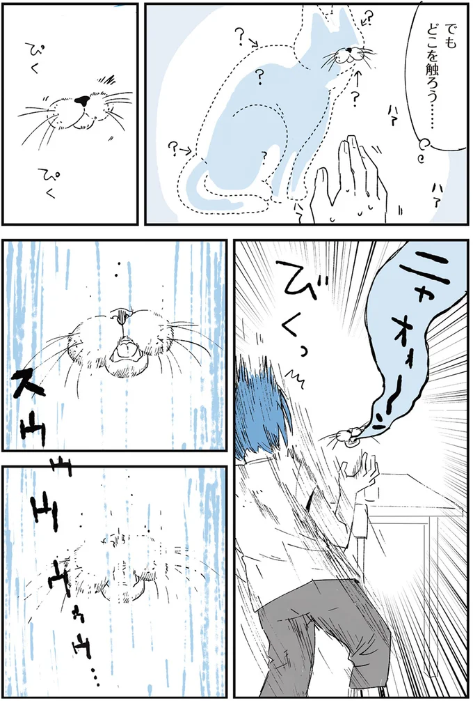 でもどこを触ろう…