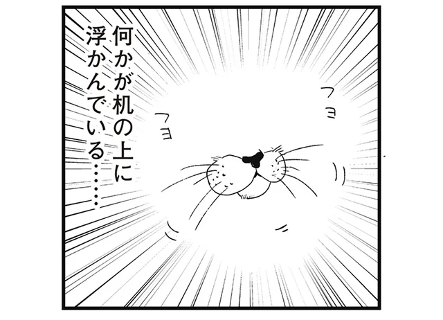 リビングに何かが浮かんでいる？ どう見ても猫の口に見える不思議な存在に動揺／動物たちが残した不思議なメッセージ（7）