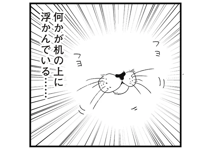 フヨフヨ