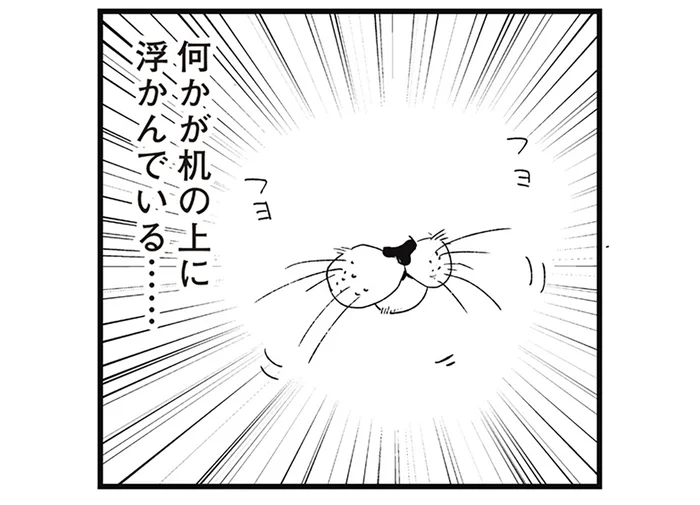 リビングに何かが浮かんでいる？ どう見ても猫の口に見える不思議な存在に動揺／動物たちが残した不思議なメッセージ（7）