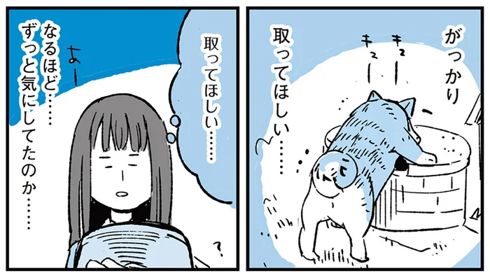 亡くなった飼い犬にはまだ心残りが？ 井戸の底にあった愛犬の宝物／動物たちが残した不思議なメッセージ（8）