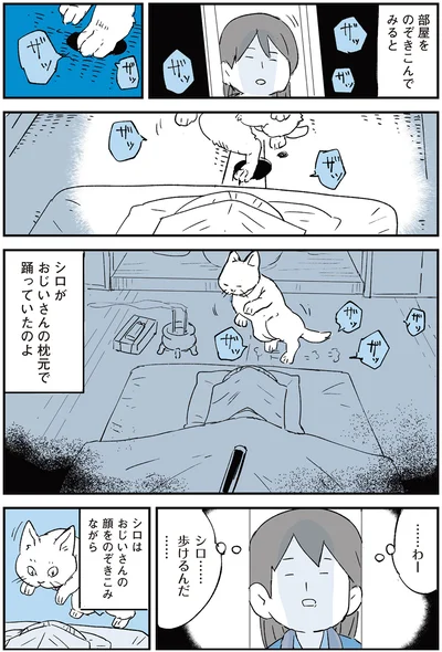 歩けるんだ…