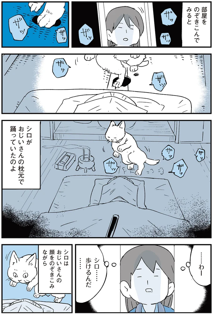 歩けるんだ…