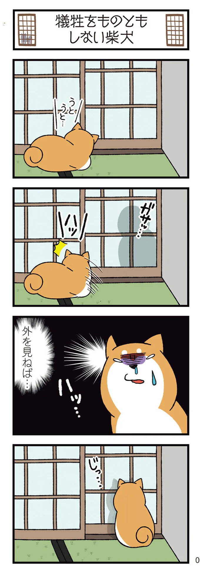 外を見ねば…