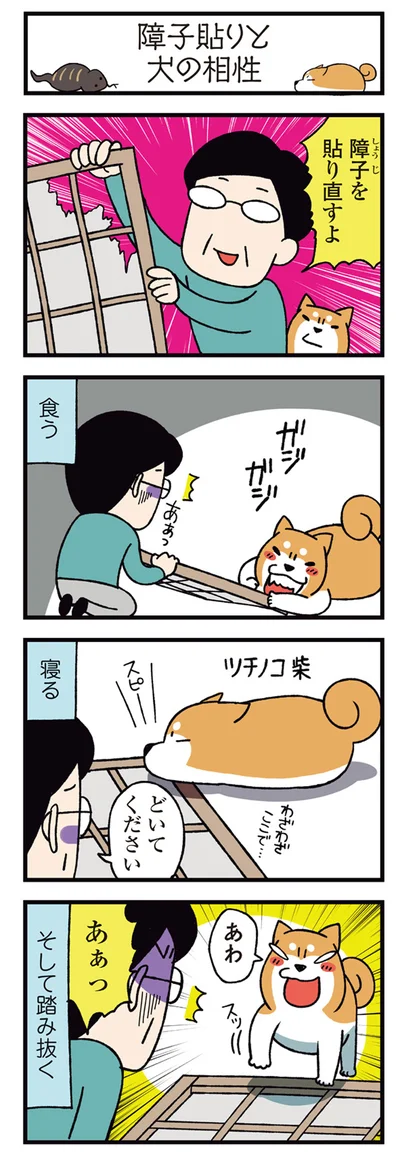 障子を貼りなおすよ