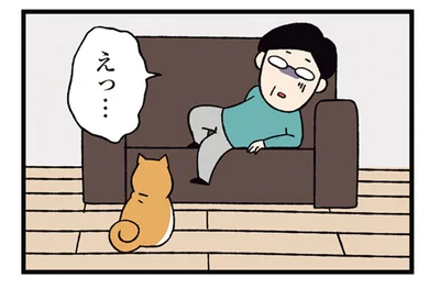定位置はソファの左端。柴犬と父の熾烈なポジション争い
