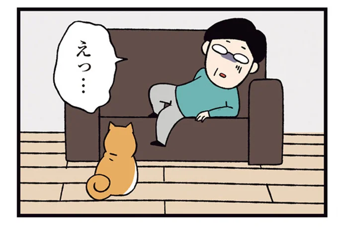 定位置はソファの左端。柴犬と父の熾烈なポジション争い／ドヤ顔柴犬どんぐり2（5）