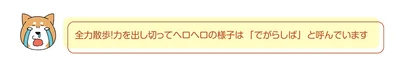 全力散歩！