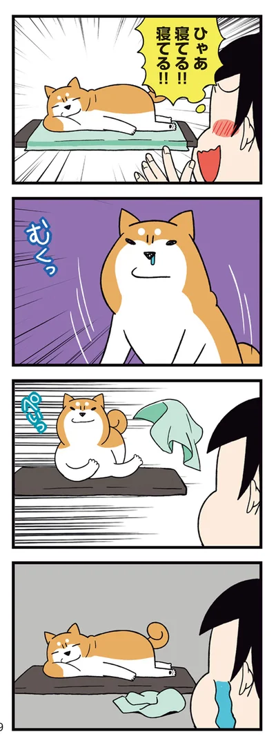 むくっ、ぺいっ