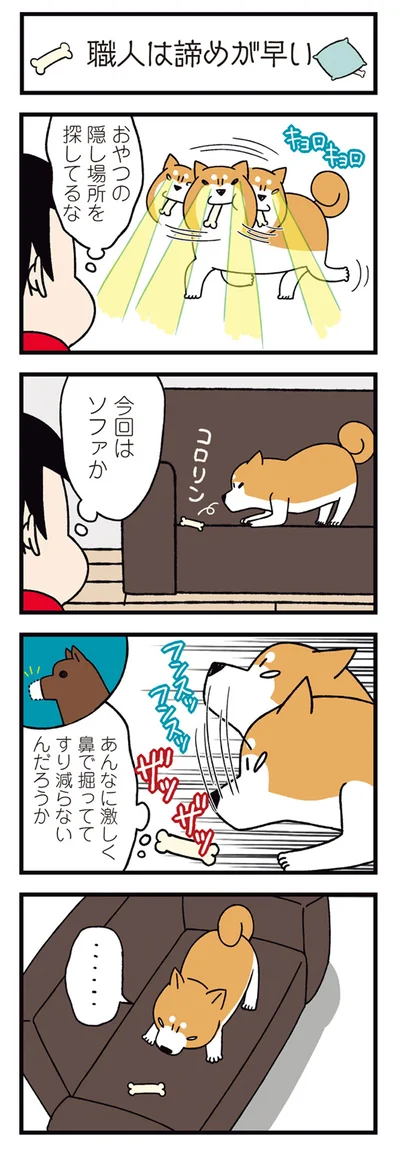 おやつの隠し場所