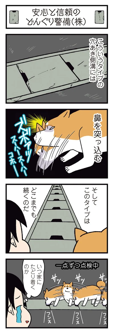 どこまでも続くのだ