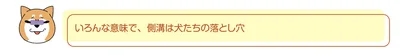 いろんな意味で落とし穴