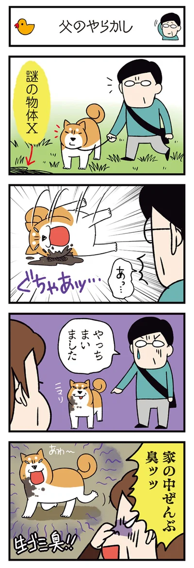 やっちまいました