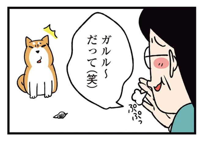 道端の動く物体に威嚇!茶化す父と引っ込みがつかなくなった柴犬