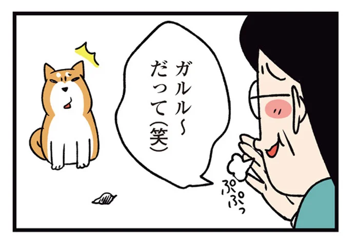 道端の動く物体に威嚇！茶化す父と、引っ込みがつかなくなった柴犬／ドヤ顔柴犬どんぐり2（11）