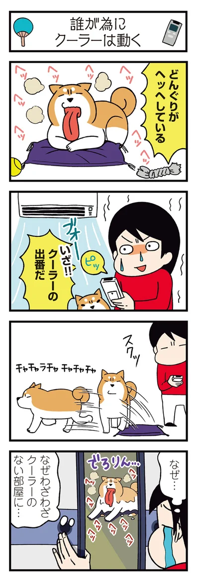 クーラーの出番だ