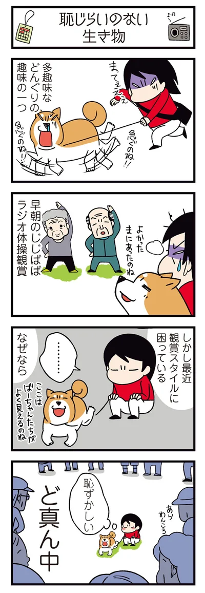 はずかしい