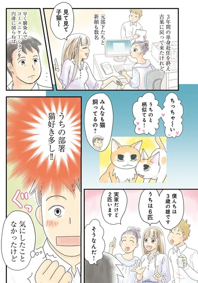 みんなも猫飼ってるの？