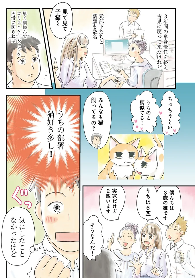 みんなも猫飼ってるの？