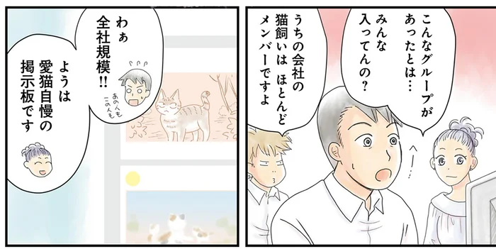 会社の猫飼いが揃うSNSグループ？ 愛猫自慢の掲示板に参加してみた／飼い猫がなつきません（2）