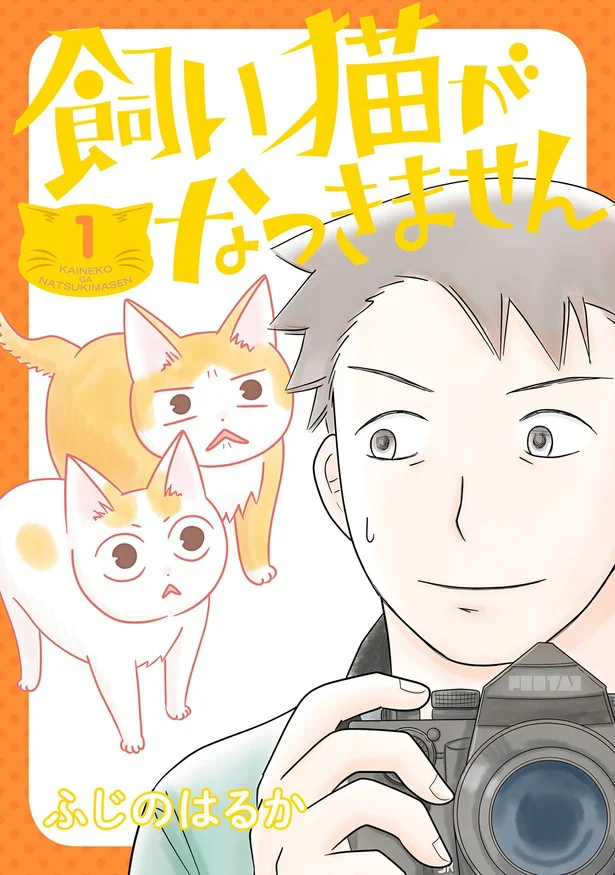 猫を愛しているのに猫に愛されないすべての猫好きに贈る！『飼い猫がなつきません』