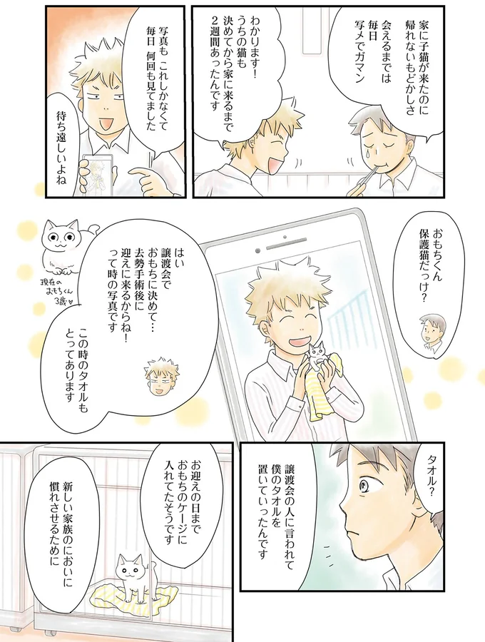 新しい家族のにおいに慣れさせるために